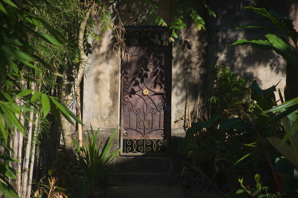 Taman Rahasia Tropical Sanctuary And Spa Ubud  Luaran gambar