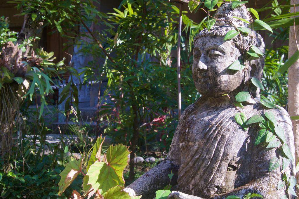 Taman Rahasia Tropical Sanctuary And Spa Ubud  Luaran gambar