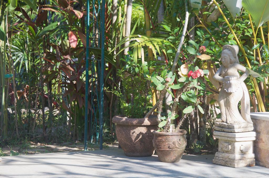 Taman Rahasia Tropical Sanctuary And Spa Ubud  Luaran gambar