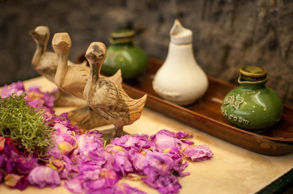 Taman Rahasia Tropical Sanctuary And Spa Ubud  Luaran gambar